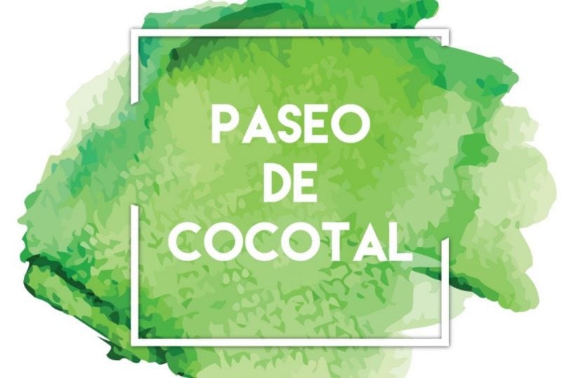 Paseo de Cocotal Bavaro