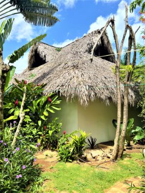 Villas à vendre dans Las Terrenas samana