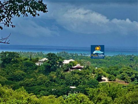 Dominica Land For Sale
